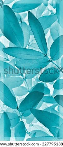Light vegetable vertical background from honeysuckle leaves. Turquoise mobile phone wallpaper from tree foliage. Abstract nature plant backdrop with vignetting. Beautiful plants pattern. Leaf texture