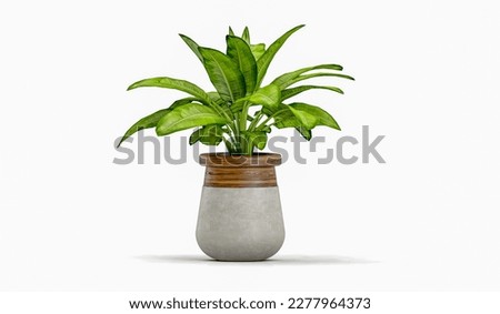 Plant in flower pot on marble table, on white background
