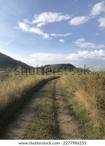 Trail in the nature between the hills and the fields in Sardinia, Italy.