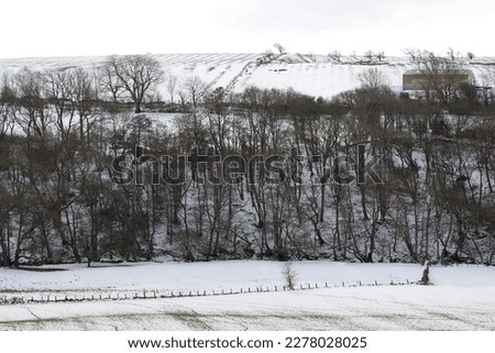 Line of bare black trees in winter in silhouette against snow covered white fields