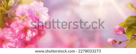 Spring photo of a pink cherry blossom against a serene sunny sky. The blurred background creates a sense of movement and depth, reminiscent of the serene beauty of spring.