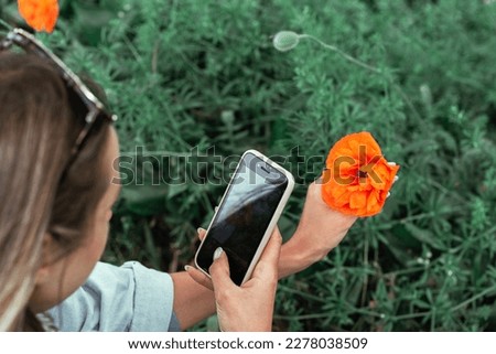 A woman photographs a poppy flower with a close-up on her smartphone in the spring.