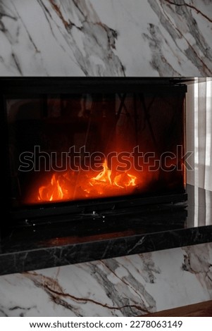 Included enclosed fireplace in the living room. The fireplace is decorated with natural marble. 