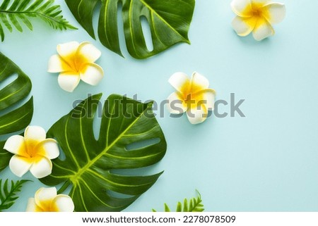 Summer background with tropical frangipani flowers and green tropical palm leaves on light background. Flat lay, top view.