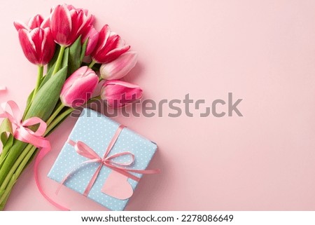 Mother's Day decorations concept. Top view photo of blue giftbox with ribbon bow and bouquet of pink tulips on isolated pastel pink background with copyspace Royalty-Free Stock Photo #2278086649
