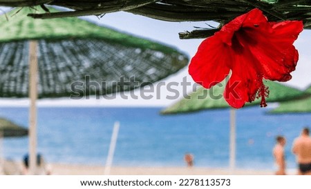 Hibiscus flower inserted into a beach umbrella against the backdrop of the sea in Turkey