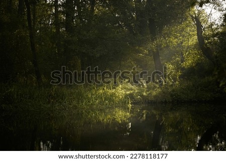 beautiful lake scenery with sunray. idyllic landscape with the river in the forest. Royalty-Free Stock Photo #2278118177