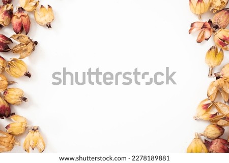 Dried Organic Hibiscus Seed background Images, Stock Photos. Dry Hibiscus Seed cover background texture, pattern.top view. 
