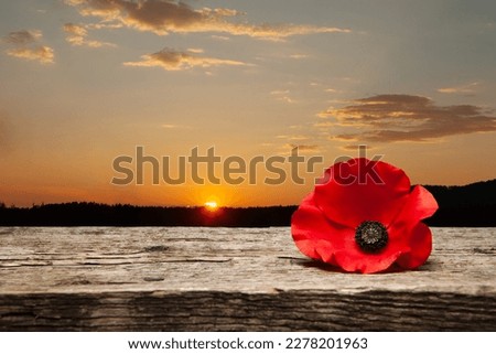 Poppy pin for Remembrance Day. Poppy flower on old beautiful high grain, detailed wood on background of sunset sky.