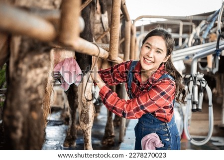 Female worker in barn with automatical cow milking machines. squirting the milk into a silver bucket