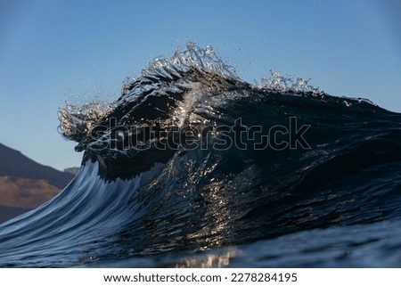 glassy wave breaking on a shallow reef in the ocean