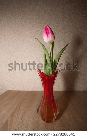 A pink beautiful tulip stands in a glass vase on the table, against the background of textured wallpaper on the wall. Image for your creative design or illustrations.
