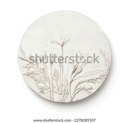Front view of round gypsum handmade botanical bas-relief panel isolated on white Royalty-Free Stock Photo #2278289107