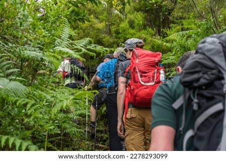 Active holiday on beautiful Madeira island: group of hikers enjoy excursion to wet areas, rain forest in mountains Royalty-Free Stock Photo #2278293099