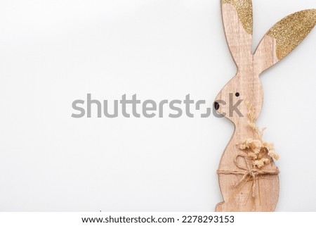 easter bunny on an white background (Easter)