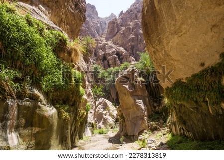 Inside the Wadi Ghuweir canyon in Dana, Jordan