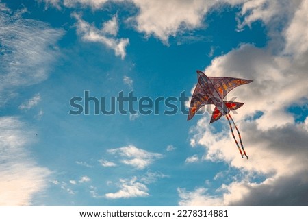A lonely kite is fling  