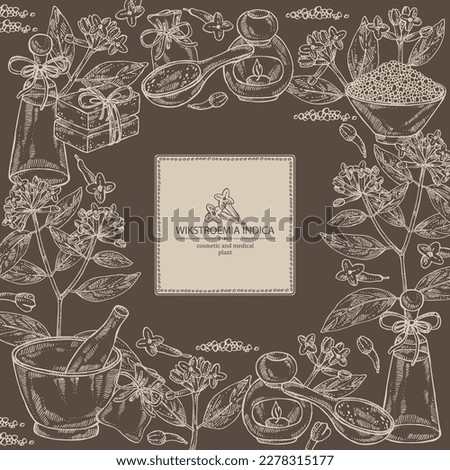 Background with wikstroemia indica: leaves, flowers and wikstroemia indica plant. Daphne indica. Oil, soap and bath salt . Cosmetics and medical plant. Vector hand drawn illustration