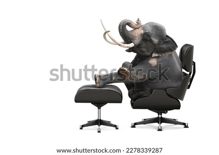 A long, white-tusked male elephant looks formidable, a representative of power sitting on an executive chair.
The concept of Leader of management. Photo isolated and illustrated with clipping path.