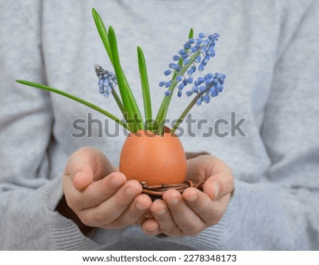 Eggshell with blue spring flowers in a nest in child hands. Happy Easter holiday