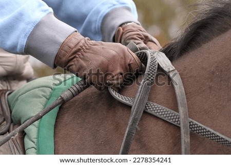 Close up of horse rider holding the reins. Equestrian Royalty-Free Stock Photo #2278354241