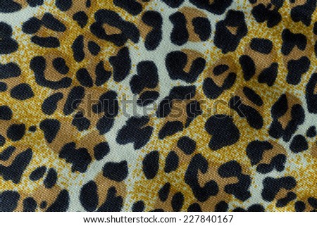Close up of fabric striped leopard 