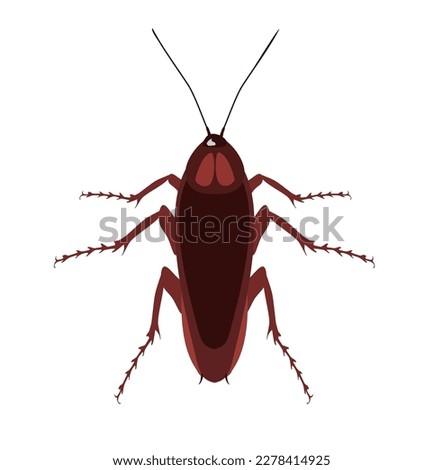 Cockroaches insects vector illustration in isolated white background. Object of insect and fly icon. Insect and element stock symbol for web.