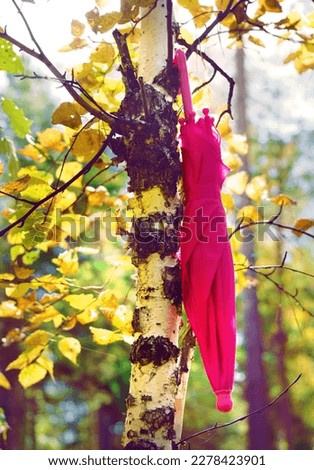Autumn scene. Pink umbrella on autumn tree in the forest, soft light