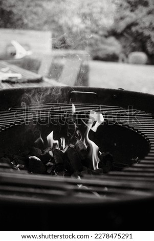 Vertical grayscale shot of flames blazing from a kettle grill in Burdinne, Belgium