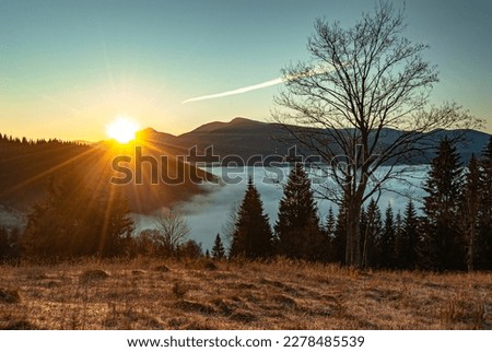 Contrasting mountain at dawn. Dawn in the mountains. Mount Hoverla, Carpathians in the rays of the sun at dawn. Fog in the valley.