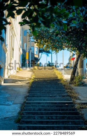 Steep incline sidewalk stairs in historic districts of downtown san francisco in late afternoon sun and shade. In trees with buildings and real estate nearby with parked cars and signs near roads.