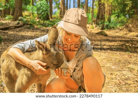 Caucasian smiling woman feeding kangaroos from her hand outdoor. Australian marsupial animal in forests of Tasmania in Australia.
