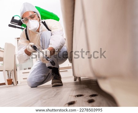 Pest control contractor working in the flat Royalty-Free Stock Photo #2278503995