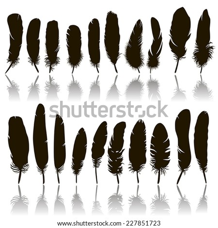 20 vector icons of black feathers with reflection on white background