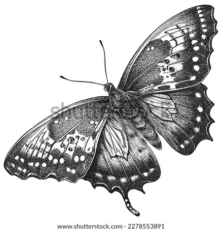 Hand Drawn Engraving Pen and Ink Butterfly Vintage Vector Illustration