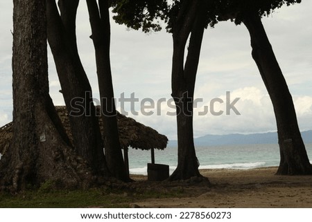 Beautiful beach visible through trees