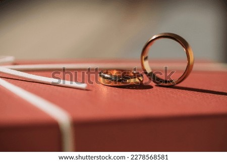 Wedding day. Celebration. Golden rings. Love concept. Ring. Background. Love. 