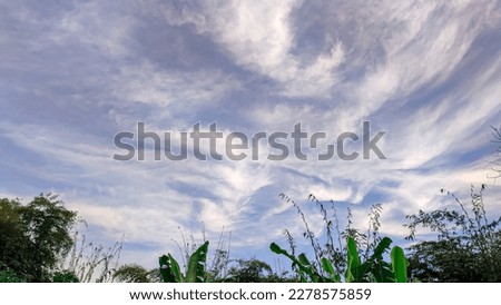 The sky at dusk is clear and the white clouds and trees below are perfect for the backdrop