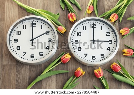 Two clocks, one showing two o'clock, the other showing three o'clock. Tulips around the second one. Time change symbol. Daylight saving time. Moving the hands forward from 2 a.m. to 3 a.m. Royalty-Free Stock Photo #2278584487