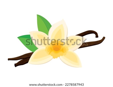 Vanilla flower bloom and spice icon vector. Orchid vanilla flower and dried vanilla sticks vector isolated on white background Royalty-Free Stock Photo #2278587943