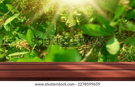 Wooden table top with blurred background Green color, natural small plants or leaves. Bright sunlight. Empty product concept.