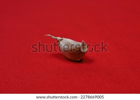 Photo of garlic on a red background
