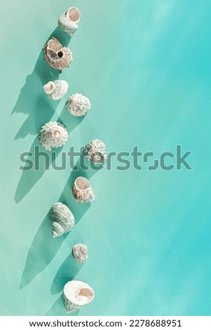 Minimal summer flat lay, abstract background with seashells at sunlight, aesthetic monochrome still life turquoise color, Summer vacation concept, top view natural shells with long shadows, copy space