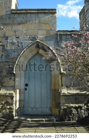 Old wooden door and cherry blossoms