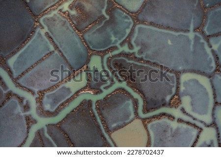A beautiful mix of abstract colors created by vegetation on the surface of the water above the oyster beds of the La Seudre estuary in Charente-Maritime.