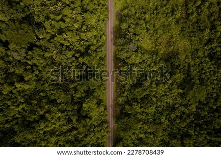 Aerial photo of a portion of the Hummingbird Highway, surrounded by jungle, in Belize