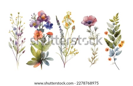 Watercolor botanical vector set. Collection of abstract spring wild flowers, grass, leaf branch, floral leaves in minimal style. Design illustration for wedding invitation, decor