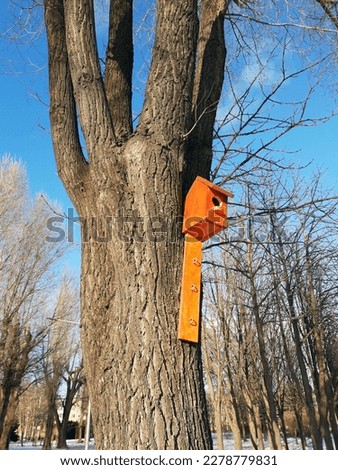 A new wooden birdhouse in the spring on a large tree in the park.A birdhouse on a tree.