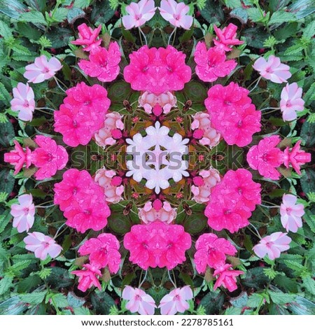 an abstract picture of pink hued and white flowers processed through a kaleidoscope filter