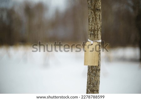 Plywood tablet tied to a thin tree trunk with white twine